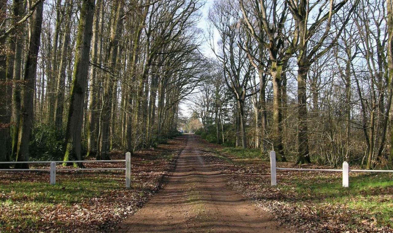 Domaine De La Haute-Porte Souvigné-sur-Sarthe المظهر الخارجي الصورة